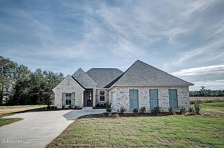 416 Baleigh Way Unit Lot 77, Canton, MS 39046