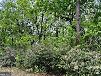 0 Snowdrift Place Unit 10518078, Cleveland, GA 30528
