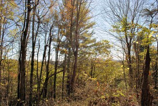 TBD 7.65ac Camp Carysbrook Rd, Riner, VA 24149
