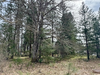 0 N Old Stage Rd, Cave Junction, OR 97523