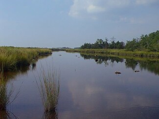 4 Muddy Creek Rd, AccoMacK County, VA 23308
