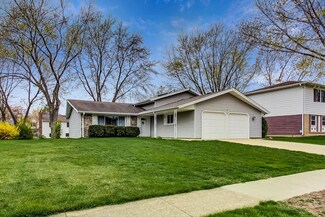 224 Wianno Ln, Schaumburg, IL 60194