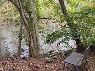 160 Tree Frog Ln, Benton, TN 37307