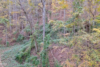 Lots 1,2,3 Timber Grove Rd, Sevierville, TN 37862