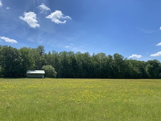 0 Lick Creek Rd Unit RTC2885265, Linden, TN 37096