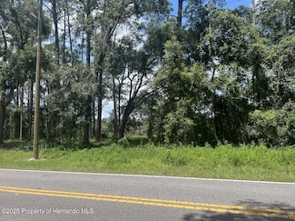 452173 NW Amberjack Ave, Dunnellon, FL 34431