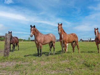 4313 Fm 2679 Rd, Burton, TX 77835