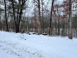 0 V L Grand Blvd, White Cloud, MI 49349