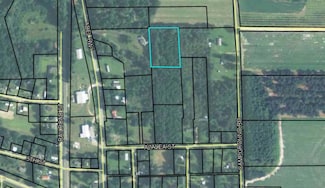 0 Azalea St, Morven, GA 31638