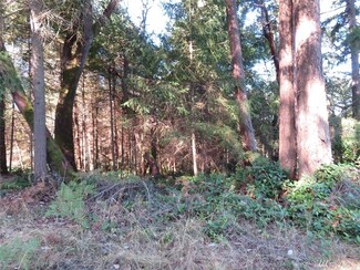 0 Morris Blvd Unit 1203441, Steilacoom, WA 98388