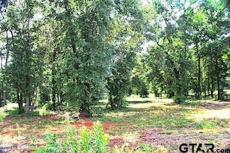 815 Stone Chimney Rd (Lot 5 Cr 3608), Bullard, TX 75757