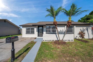8908 High Ridge Ct, Tampa, FL 33634