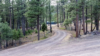 3080 Allen Gulch Rd, Wolf Creek, MT 59648