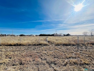 229 Lynn Ave, Clovis, NM 88101