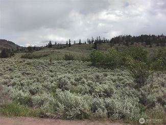 44 Palmer Mountain Rd, Oroville, WA 98844
