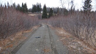L19 B4 Nushagak Ct, Kasilof, AK 99610