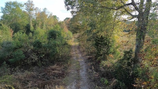 23528 Fm 838 W, Overton, TX 75684