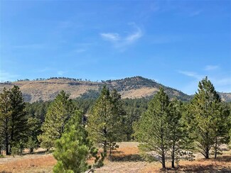 TBD Meadow Dr Unit Elk Mountain Ranches, Edgemont, SD 57735