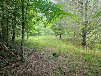 9907 State Route 3, Piercefield, NY 12973