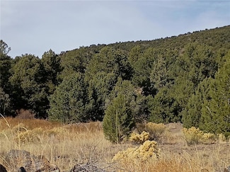 118 Porcupine Rd, Cotopaxi, CO 81223