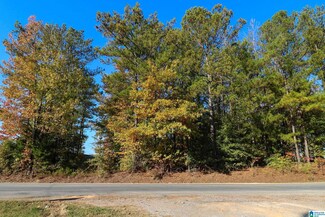 0 Vaughn Ln Unit 21402045, Pell City, AL 35125