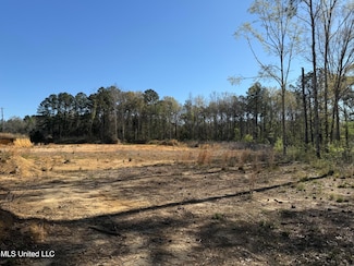 00 Hwy 11 N, Picayune, MS 39466
