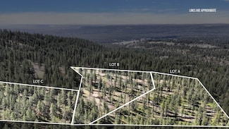 NKA Lower Weaver Lots A B C Way, Deer Park, WA 99006