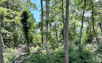TBD County Road 3669, Splendora, TX 77372