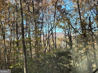 222 Piedmont Ln, Clayton, GA 30525