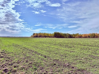 TBD 13th Ave SW, Spooner Township, MN 56623