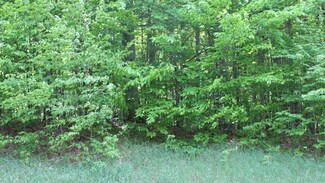 0 Mt Vernon Hills Unit Lot 21 298470, Vanderbilt, MI 49795
