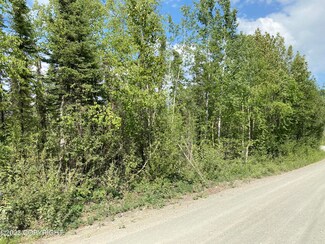 11055 W Wasey Way, Big Lake, AK 99694