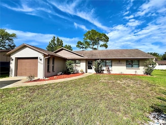 2417 Sabal Palm Dr, Edgewater, FL 32141