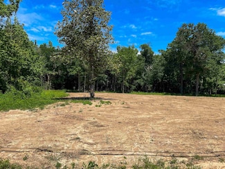 tbd W Tram Rd Unit lot 1, Vidor, TX 77662
