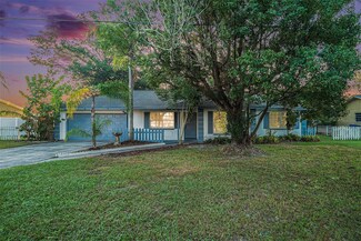 3370 Lake Padgett Dr, Land O Lakes, FL 34639