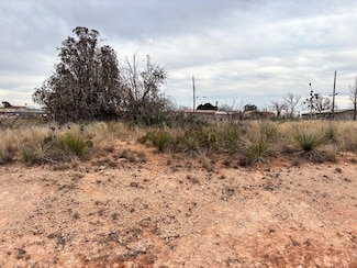 506 S 10th St, Brownfield, TX 79316
