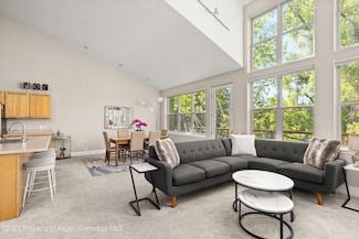 612 Evans Ct, Basalt, CO 81621