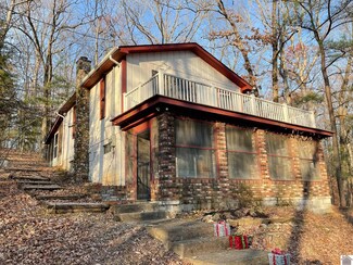 60 Fogarty Rd, New Concord, KY 42076