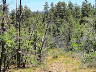2868 Crooked Rd, Pagosa Springs, CO 81147