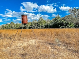 0 County Road 237, Oakwood, TX 75855