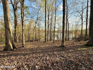 0 Catoosa Drive & Kahiti Ct Unit 1321706, Mooresburg, TN 37811