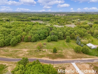Parcel 9 Leaf Ln, Freeport, MI 49325
