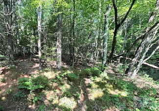 17 Tara Dr, Asheville, NC 28806