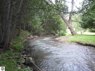N/A Beechwood Rd, Rose City, MI 48654