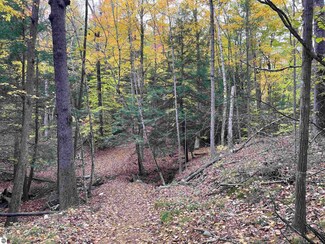 N/A Crozier Rd, Lupton, MI 48635