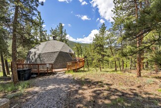 118 Marks Ln, Bailey, CO 80421