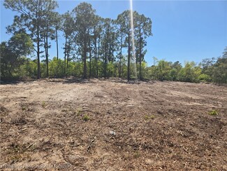 449 Chiles Dr, Lake Placid, FL 33852