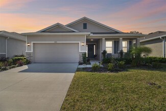 13355 Waterleaf Garden Cir, Riverview, FL 33579