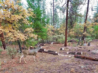 6519 Mill Creek Rd, Fort Jones, CA 96032