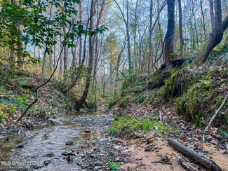 0 Natchez Trace Smith Rd, French Camp, MS 39745